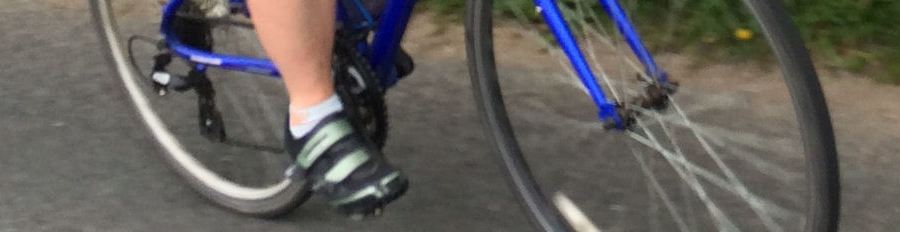 My year of fitness 2016