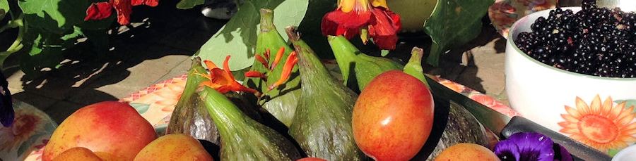 Diets eat healthy living Jo Amess