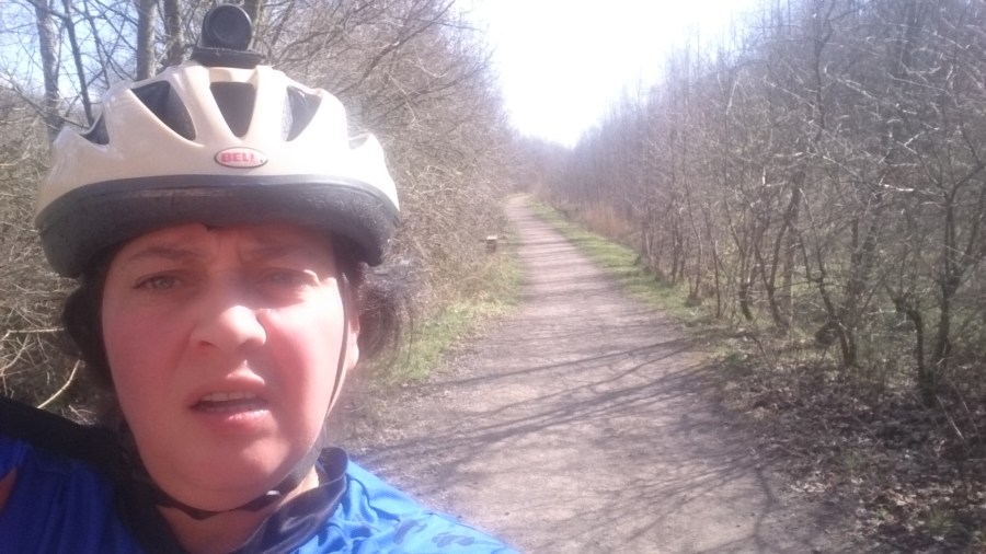 Wheel of Wakefield Sport Relief Challenge 2016