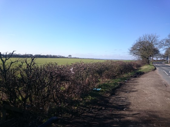 Wheel of Wakefield Sport Relief Challenge 2016
