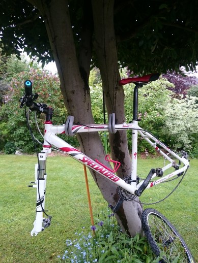 BUT will be worth it