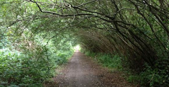 BUT will be worth it