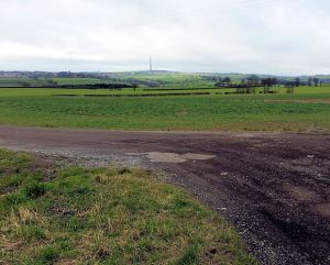 but will be worth it