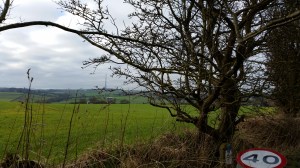 BUT will be worth it