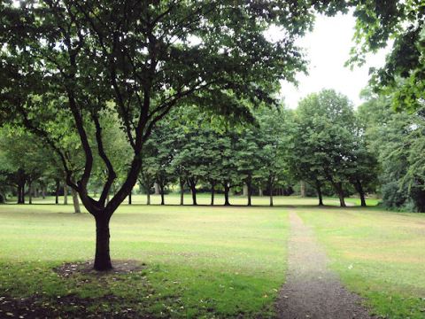 Wrenthorpe Park 010817 (8)