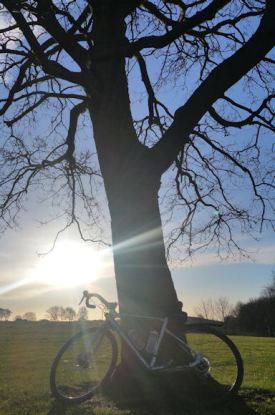 BUT will be worth it