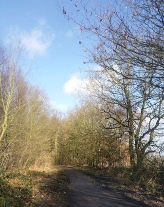 BUT will be worth it