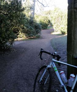 BUT will be worth it